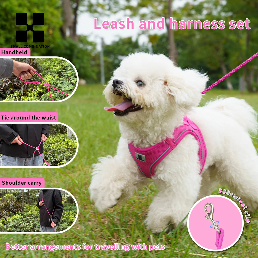 Secure dog harness with matching leash for outdoor adventures. White dog wearing a pink harness and leash set in a grassy outdoor setting.