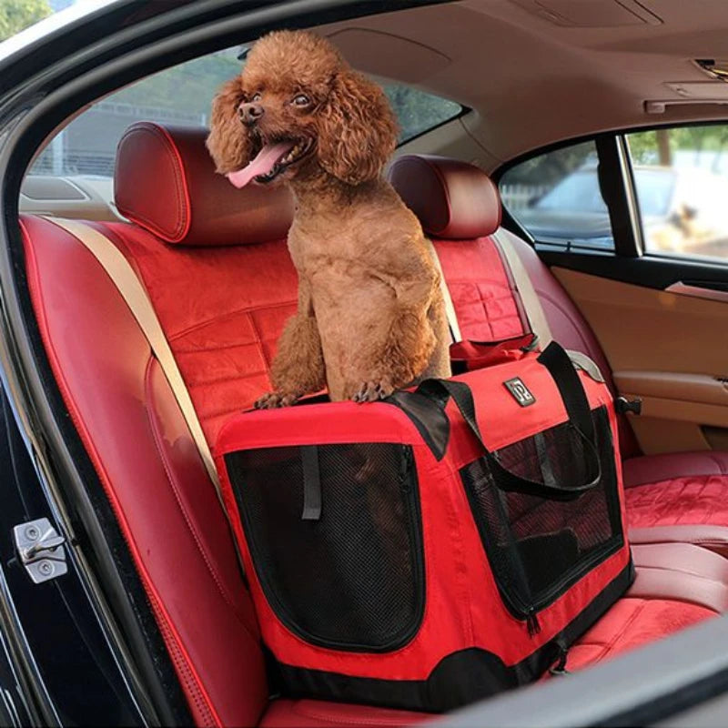 Dog sitting on a red pet carrier in a car Portable pet travel kennel for dogs and cats.
