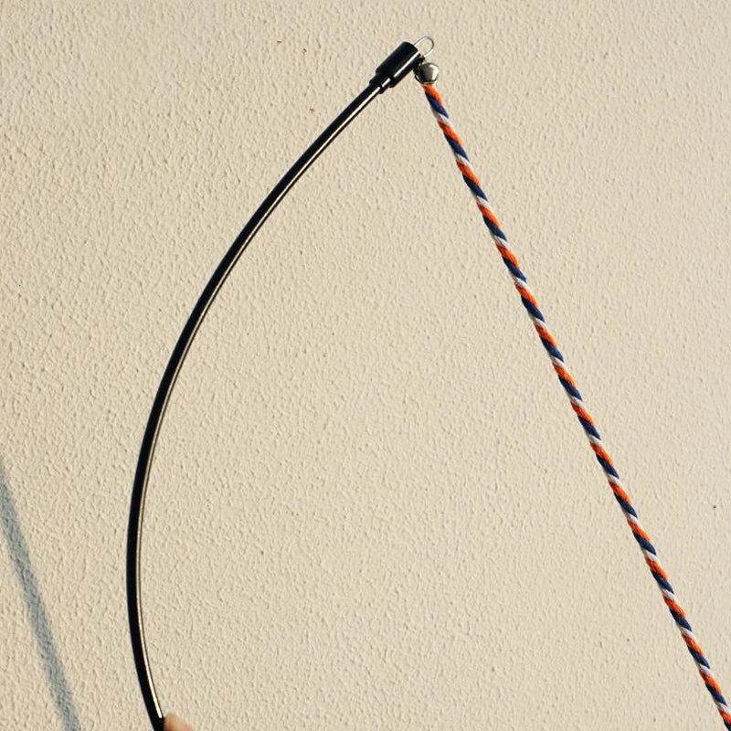 Cat wand toy for chasing jumping and pouncing. Black cord with a metal clip and striped end.  