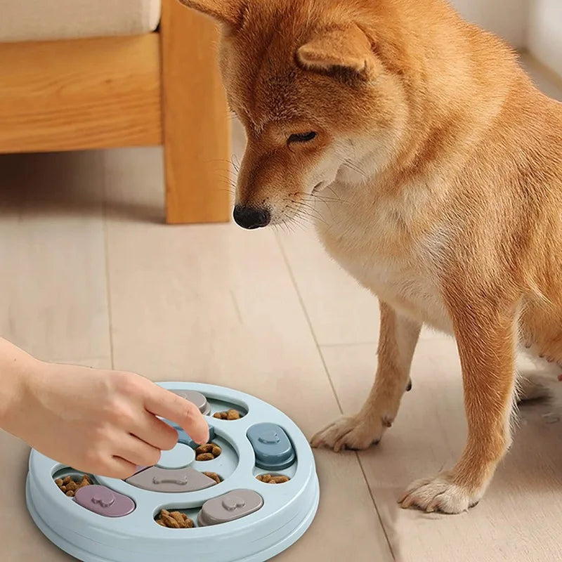 Dog enrichment puzzle feeder shown as an interactive mealtime brain game.
