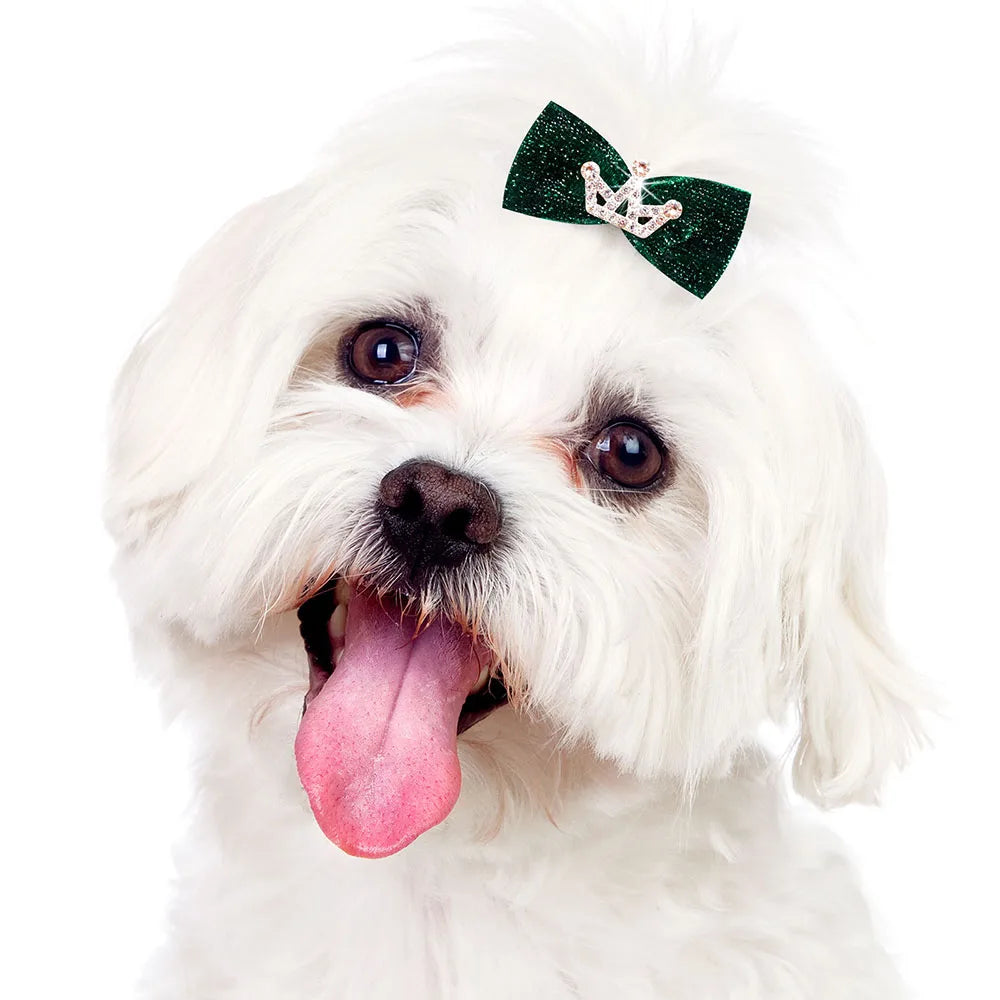 White dog with a green bow on its head against a white background, Decorative puppy bow clips for parties and special occasions.