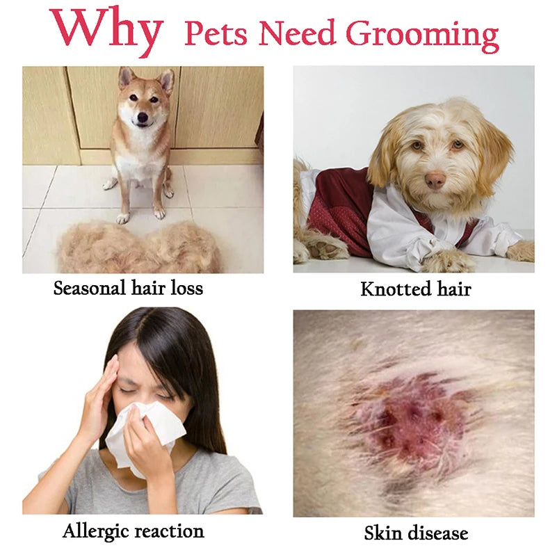 Four images showing reasons why pets need grooming: seasonal hair loss, knotted hair, allergic reaction, and skin disease.