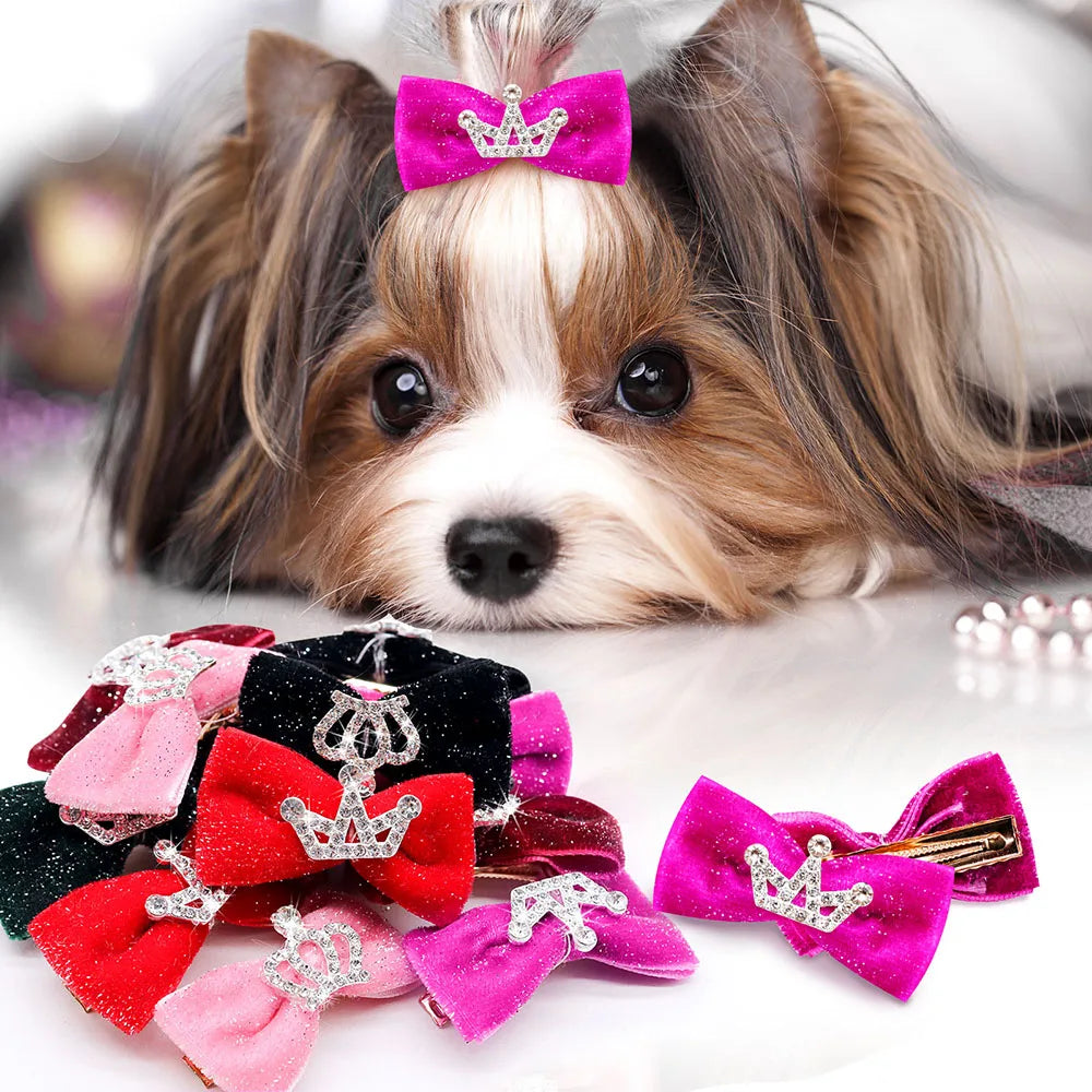 Dog with a pink bow and crown on its head, surrounded by colorful dog bows with crowns. 10 - piece glitter dog bow hair clips for puppies nd small dogs.