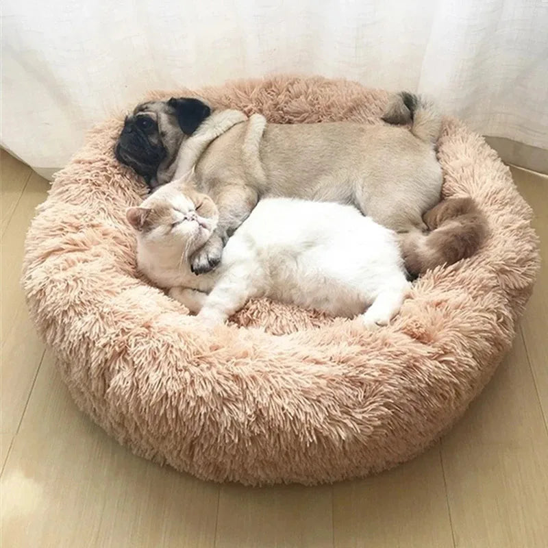 Two pets, a cat and a dog, sleeping together on a fluffy pink pet bed for plush and cozy comfort.