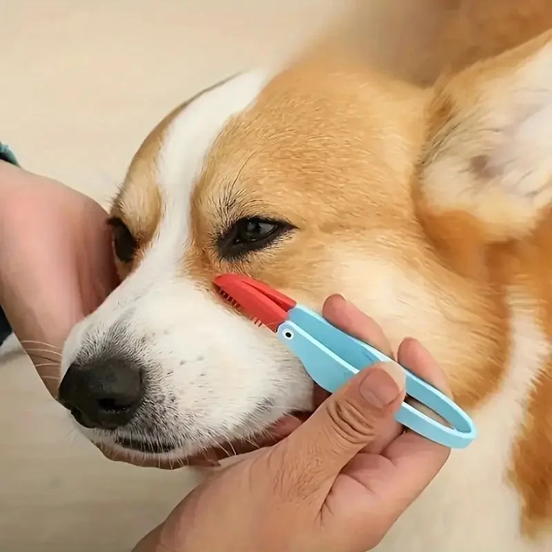 Person using a dog grooming tool on a Corgi's face - Pet tear stain remover comb for gentle eye cleaning on dogs and cats
