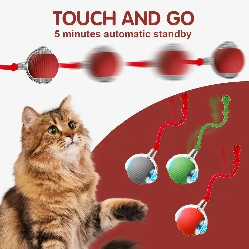 Cat toy with red string and colorful balls, featuring a cat and text about standby time. Rechargeable rolling cat toy for chasing and pouncing.