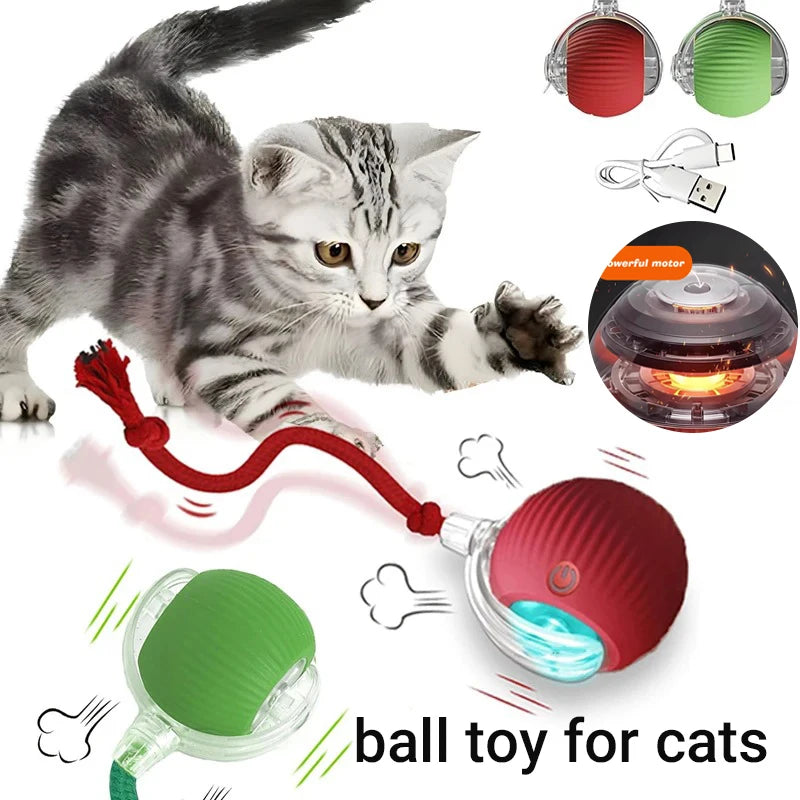 Cat playing with a ball toy featuring a USB cable and heating element.  Interactive cat exercise ball for batting and chasing.