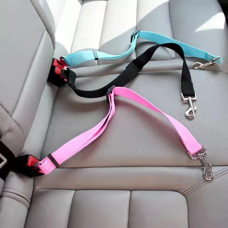 Adjustable pet car seat belt tether secured in a vehicle seat for safer dog and cat travel.
