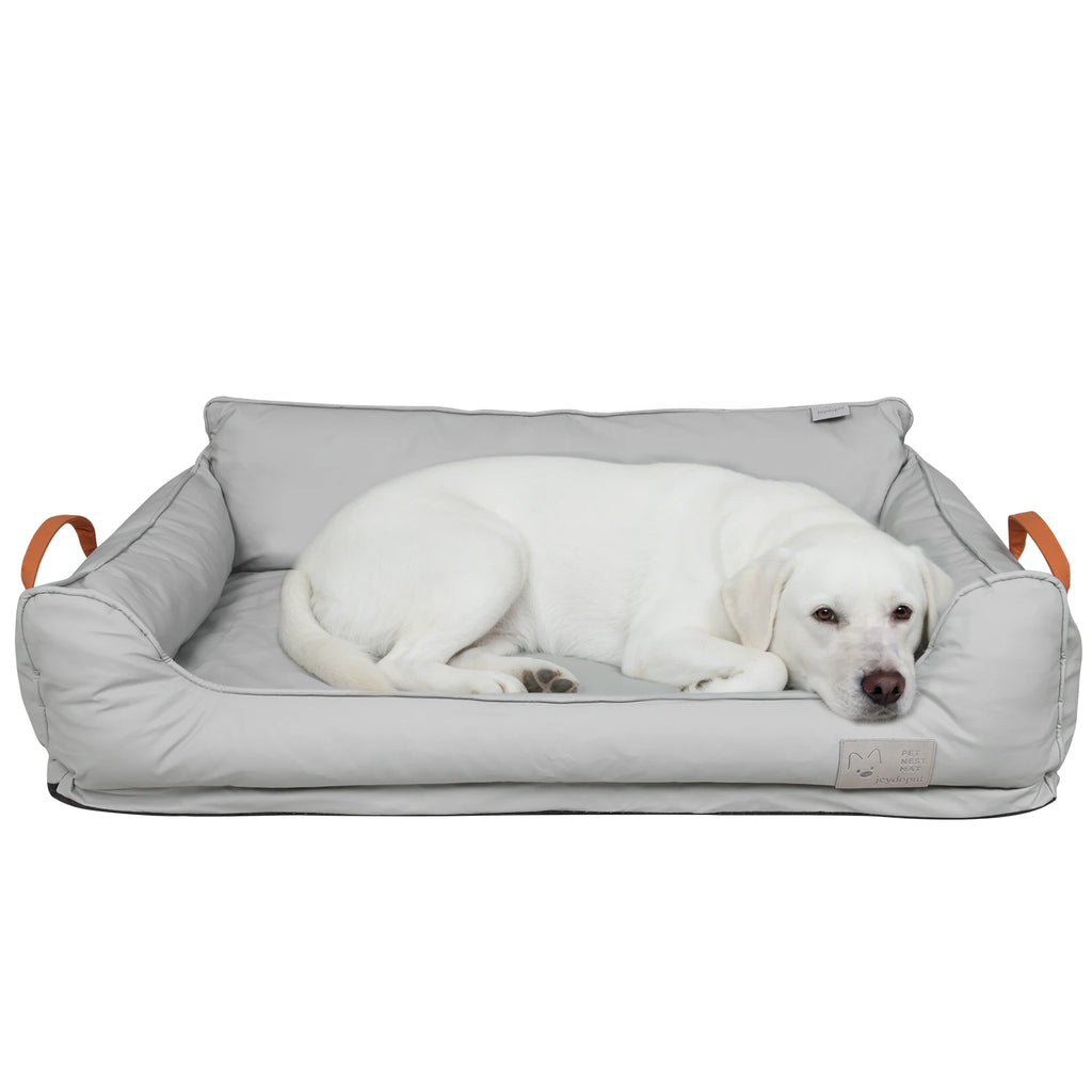 White dog curled up in a soft plush donut bed with raised sides for warmth, comfort, and security