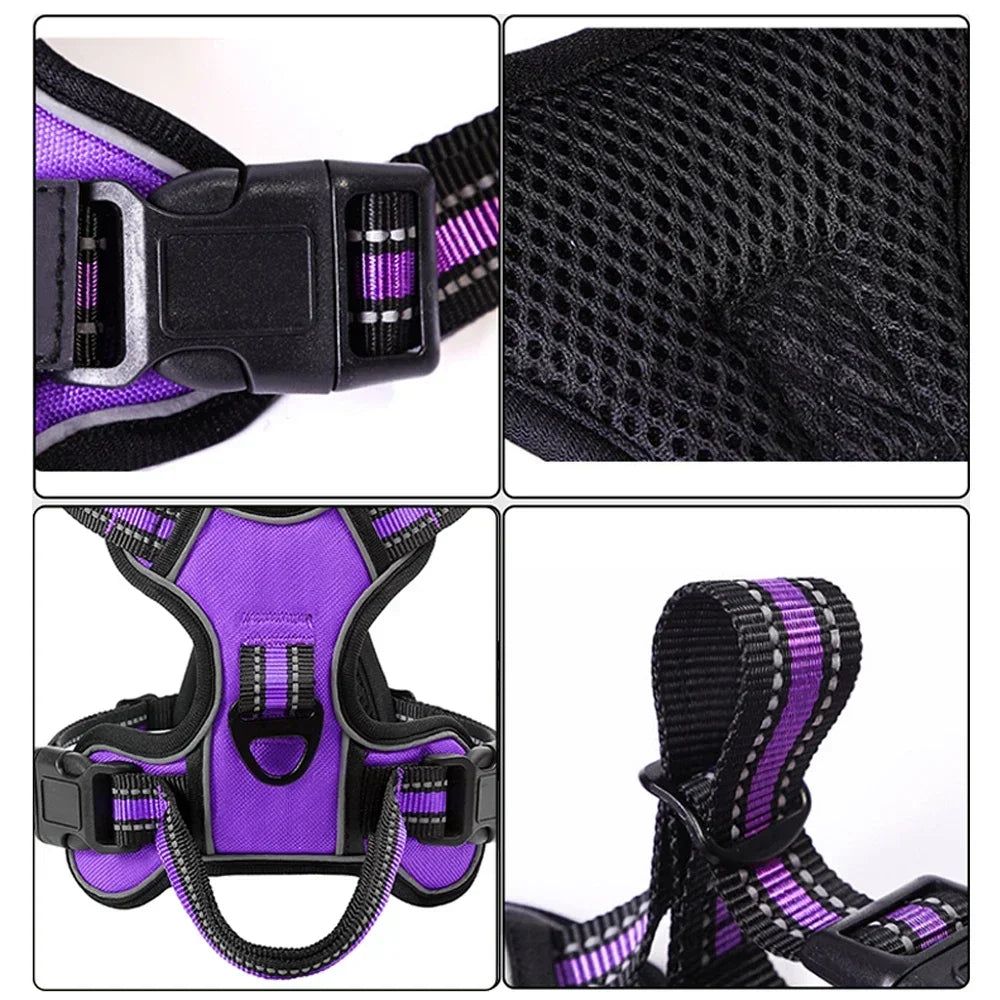 Lightweight no pull harness for puppies and adult dogs. Collage of a purple and black dog harness with close-up details on a white background.
