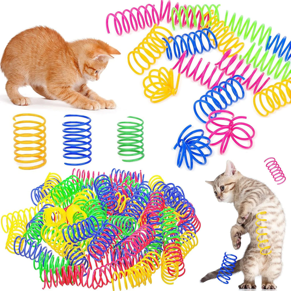 Colorful spring toys for cats with a cat interacting with them. Colorful interactive spring toys for cats and kittens. 