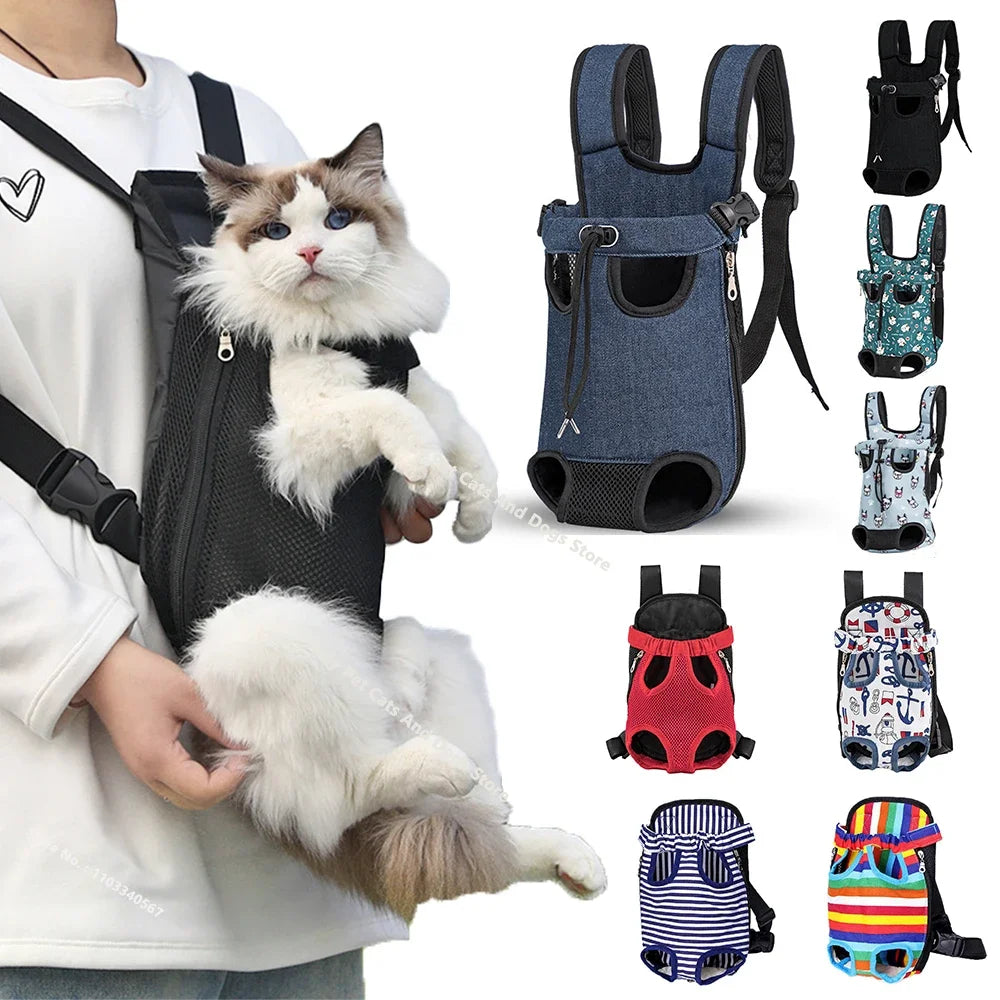Cat in a backpack with various other cat carriers' - big cat riding comfortably in a black travel backpack. 