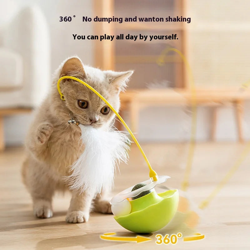 Rechargeable automatic rolling ball toy for indoor cats. Cat playing with a green toy 