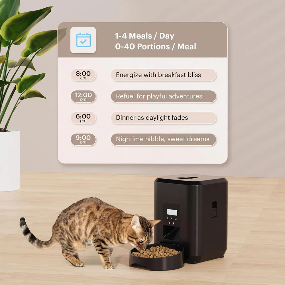 Cat eating from a black pet feeder with a schedule on a wall in the background, Programmable pet feeder for scheduled daily meals.