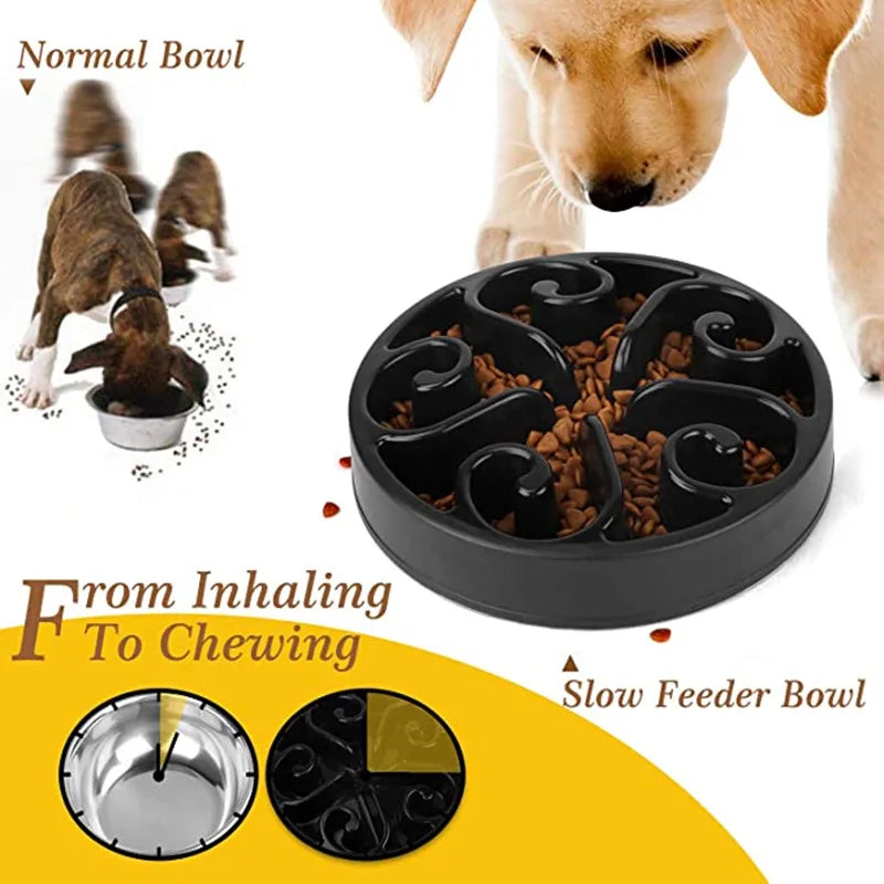 Non-Slip Slow Feeder Dog Bowl for Healthier Mealtimes