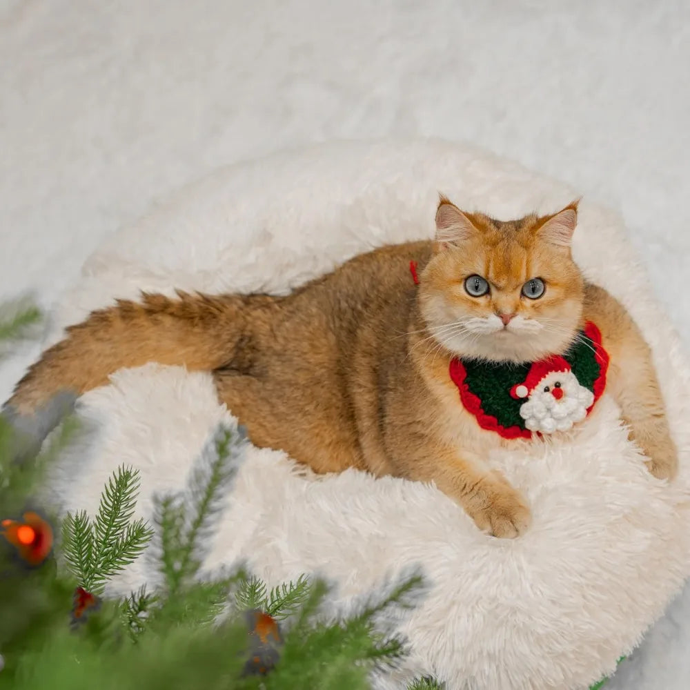 Cat wearing a festive collar on a white fluffy blanket with Christmas, decorations spacious cat hideaway bed.