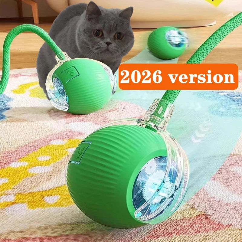Green cat toy with a cat sitting next to it on a colorful rug. Smart rechargeable automatic rolling cat ball toy.