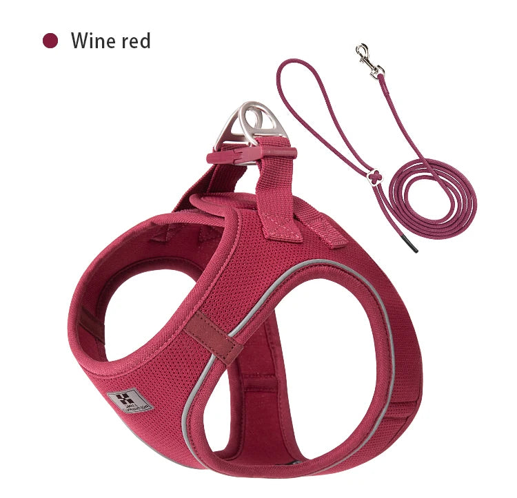 Adjustable pet harness and leash for small and medium dogs. Wine red dog harness and leash set. 