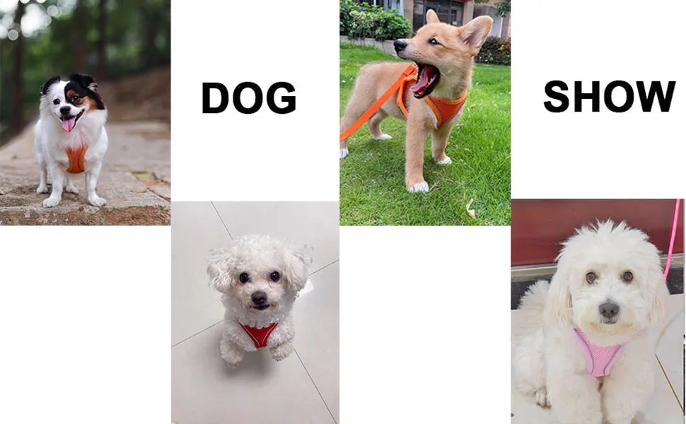 Soft mesh dog chest strap, suitable for training walks, adjustable dog vest, suitable for small and medium-sized dogs and cats