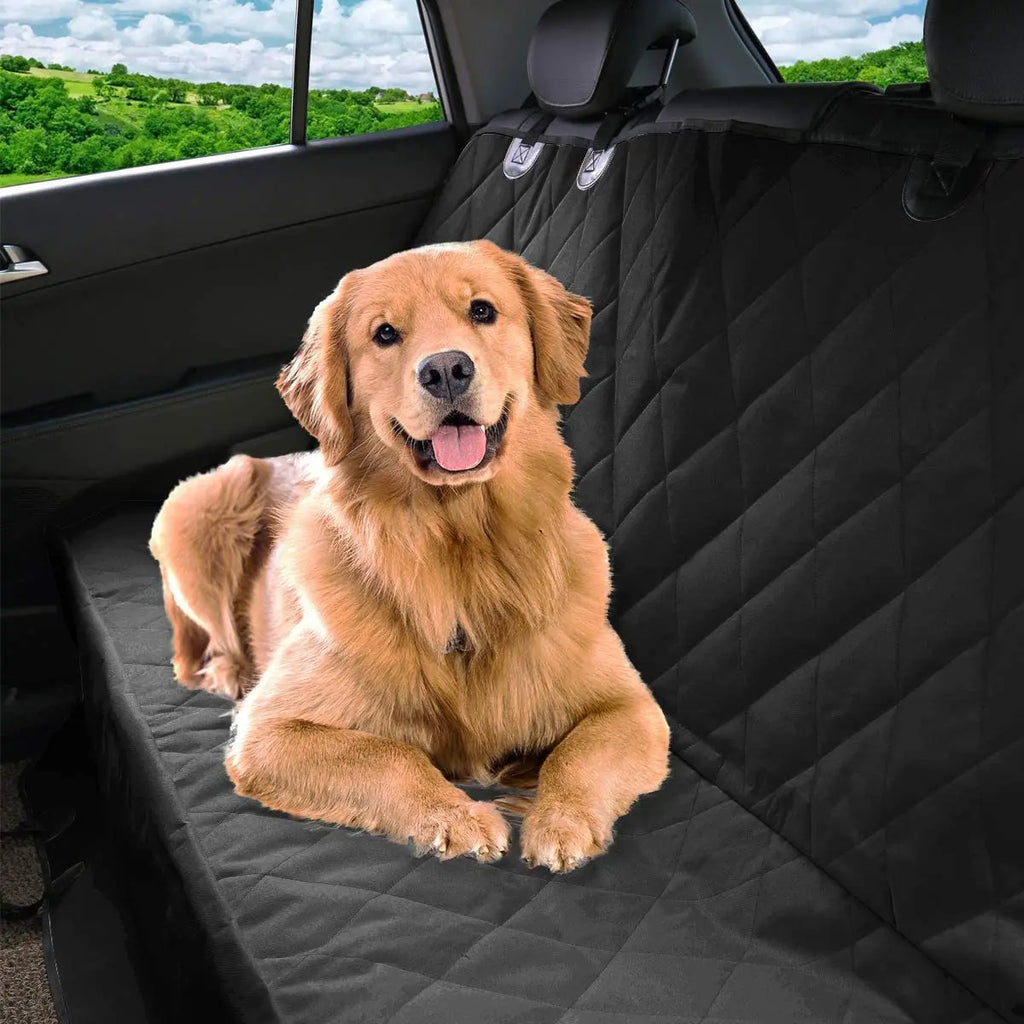 Dog sitting on a black car seat cover in a vehicle - Waterproof pet rear seat protector for cars, trucks, and SUVs.
