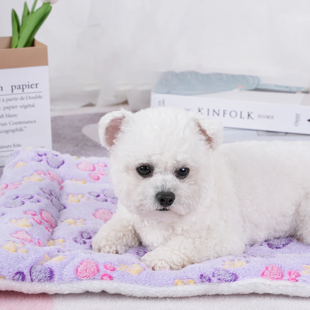 Small white dog lying on a floral-patterned blanket with soft plush cushion designed for indoor comfort and restful sleep