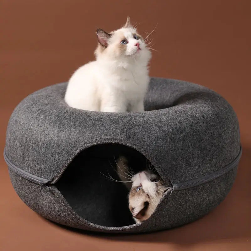 Two cats using a gray round cat tunnel bed, with one resting on top and one inside the cave opening.