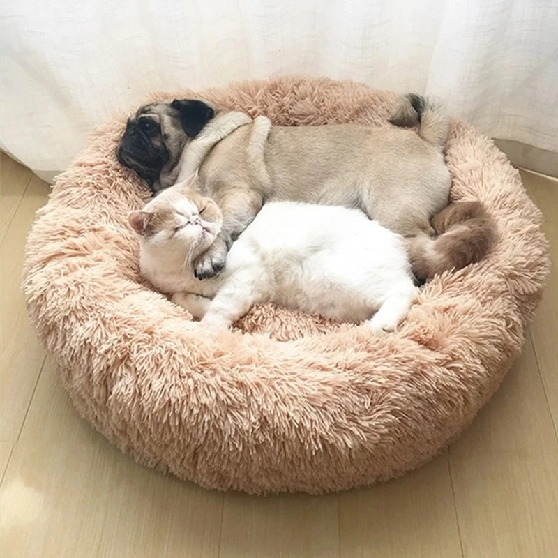 Two pets, a cat and a dog, sleeping together on a fluffy pink pet bed, comfortable winter pet bed for cats and small breed dogs.